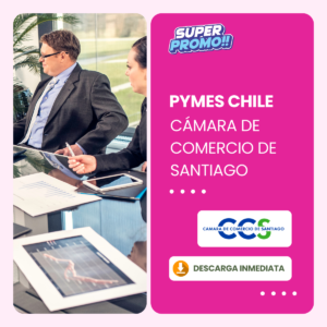 Base de Datos Pymes Cámara de Comercio de Santiago